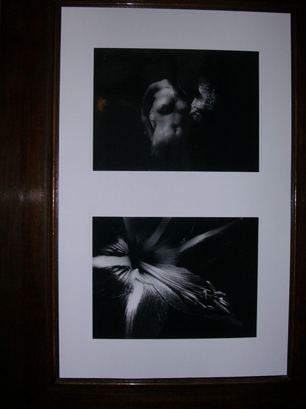 Od 15. listopadu do 9. ledna 2007 je k vidění ve W. Churchilla výstava kolekce fotografií Tomáše Soukupa Můj svět