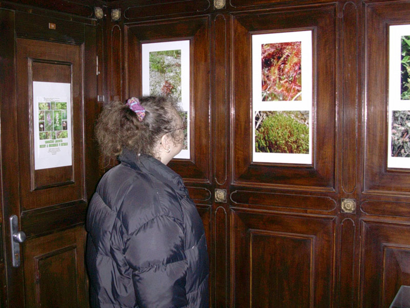 Tou jsou fotografie mechů a orchidejí z oblasti Jeseníků. Obě výstavy trvají až do 27. února