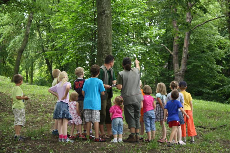 8.6., Les ukrytý v knize - lesní pedagogika, knihy a les, výtvarná dílna, čtení...