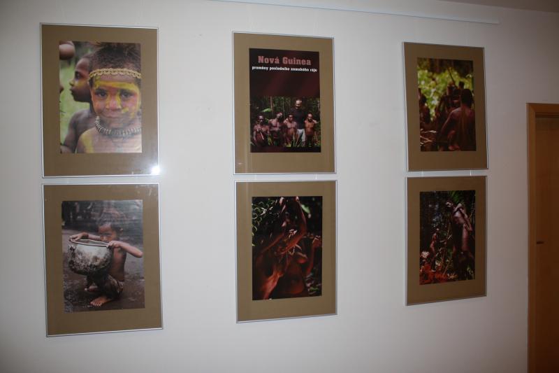 10. 1. - 28. 2., Nová Guinea - proměny posledního zemského ráje, výstava fotografií V. Pištory